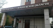 Судью воронежского арбитража Мальцеву уличили во взятках на 4,25 млн рублей от арбитражного управляющего