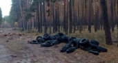 Гору бесхозных шин нашли в воронежском лесу: нарушителю грозит административный штраф