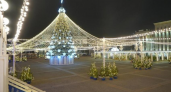 81,5 млн рублей на каток и «световой шатёр»: воронежская мэрия раскрыла цену Нового года