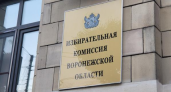 211 мандатов и выборы в Госдуму: Воронежская область готовится к масштабному дню голосования