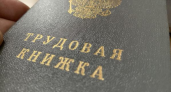 237 тысяч воронежцев отказались от бумажных трудовых: что дает цифровой формат