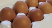 Воронежцы съедают на 22% больше яиц, чем россияне в среднем