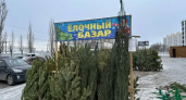 13 дней до Нового года: в Воронеже откроют 19 елочных базаров — адреса и сроки работы