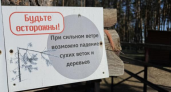 Падающие деревья закрыли «Червлёный Яр»: опасный ветер парализовал популярный парк