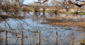 324 населенных пункта Воронежской области получили статус зон подтопления