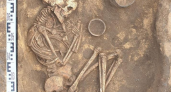 28 захоронений древних кочевников XVIII века до нашей эры раскопали под Борисоглебском