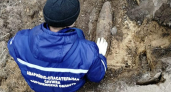 В Воронежской области обезвредили артиллерийский снаряд времён ВОВ