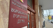 Воронеж распределяет бюджет-2026: образование, культура и спорт в центре внимания