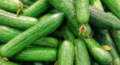 Огурцы в Воронежской области за месяц подорожали на 41,6% перед Новым годом